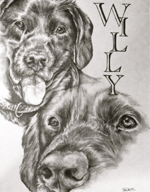 Custom drawing by Artist Danielle R. Pellicci - Click image to learn more! 