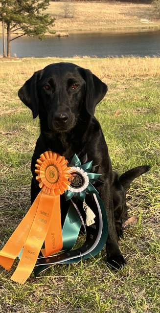 DA: Ramblin Man’s Blonde Bombshell